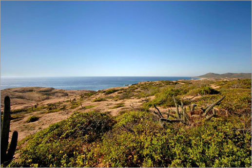 Land for sale along Pacific Ocean north of Cabo San Lucas, Cabo Escondido