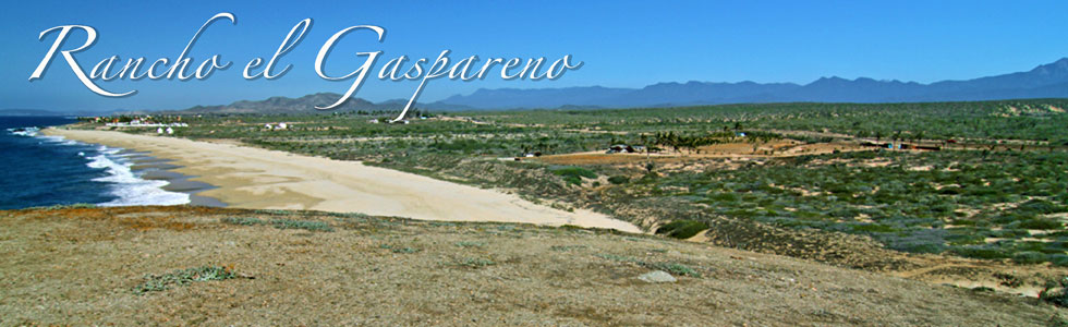 Rancho Gaspareno, Development ready land for sale north of Cabo